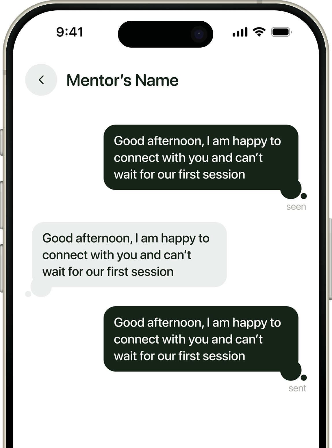 Flexible Mentorship Formats