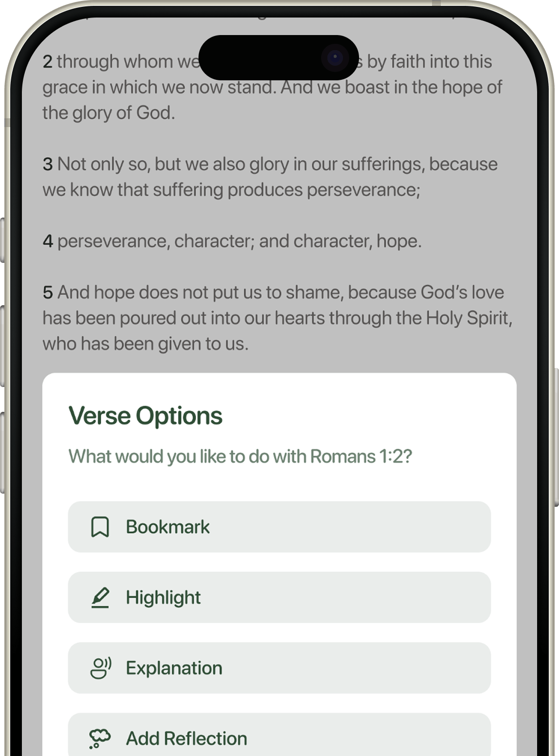 Track Your Bible Journey